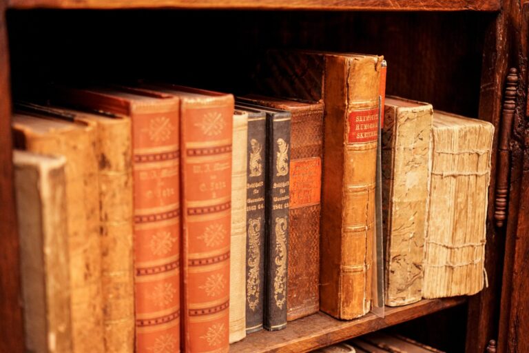 Die homöopathische Materia Medica - © Andreas Angles/stock.adobe.com