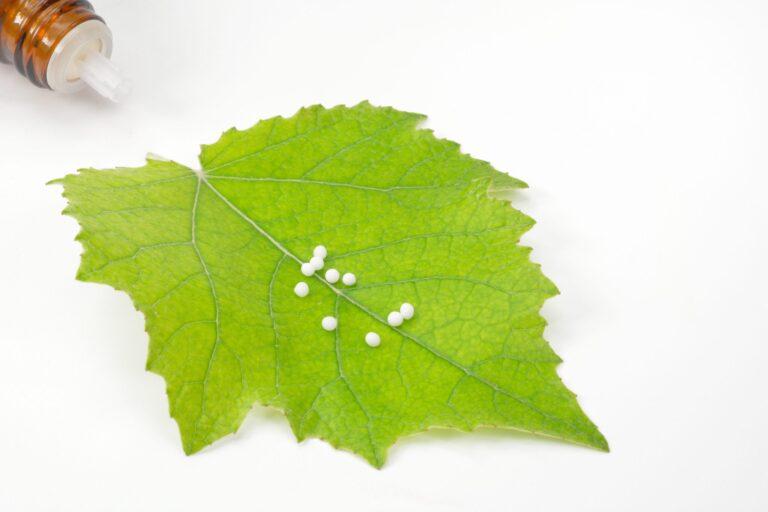 Was ist Homotoxikologie?