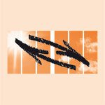 Österreichischen Ärztegesellschaft für Biologische Regulationsmedizin und Homotoxikologie