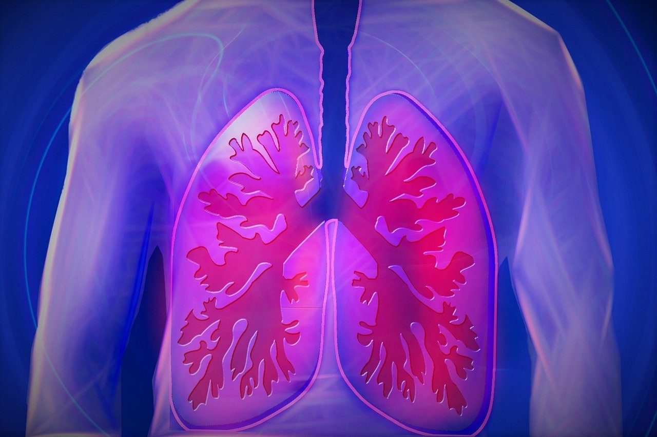 COPD: Mit Homöopathie schneller von der Beatmung loskommen